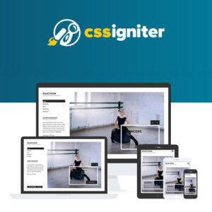 CSS Igniter Eclecticon WordPress Theme